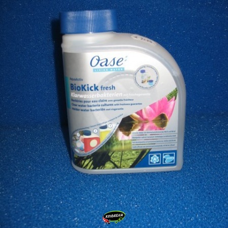 OASE Bacterien
