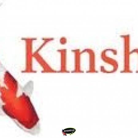 Kinshi Pompen Kinshi Pompen