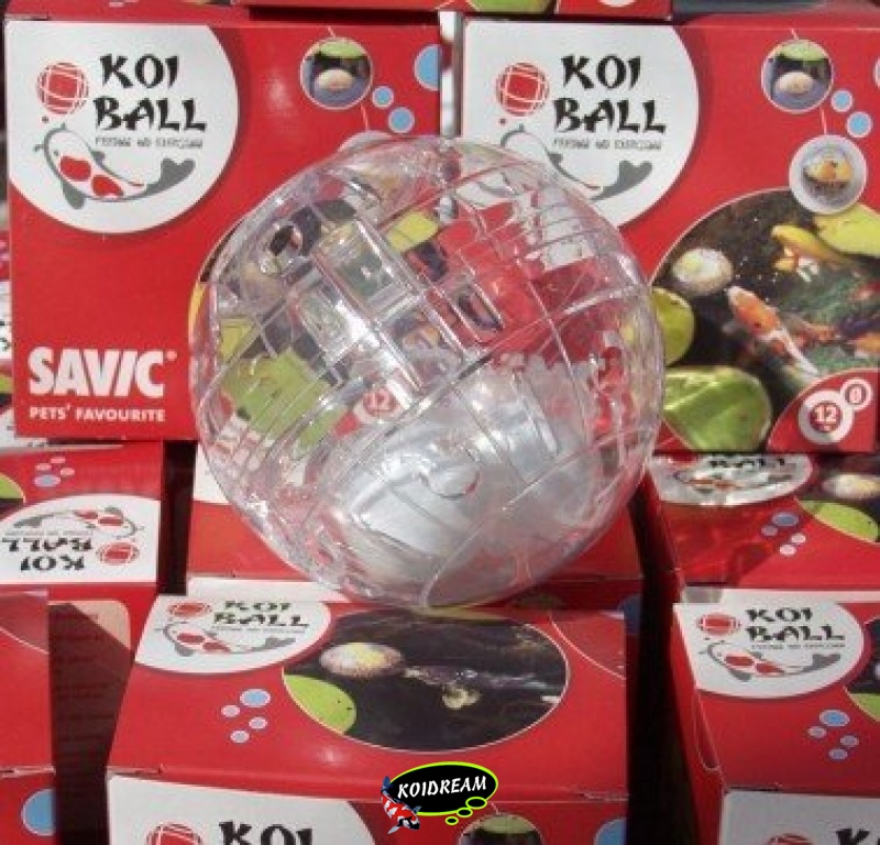 Koi Bal