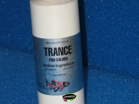 Trance 220 ml