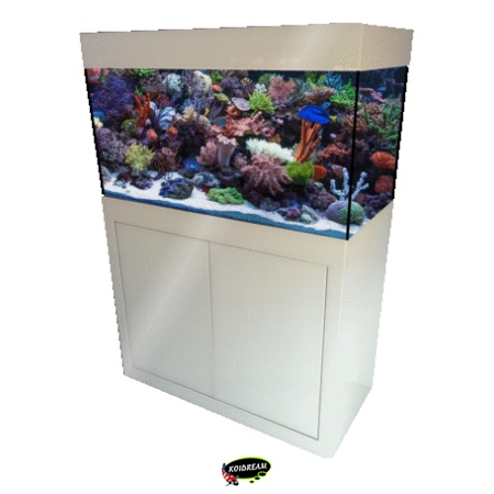 Aquaria