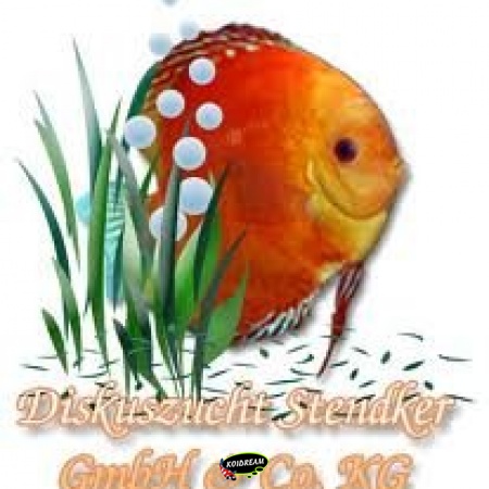 Stendker Discus vissen