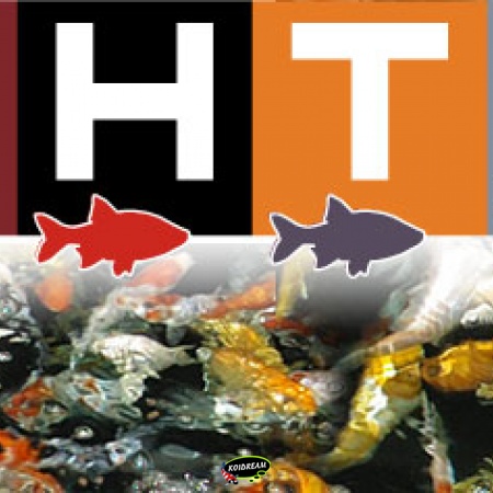 Fishtale het beste voer voor koi, Oranda, Fantail, steur en overige vijvervissen
