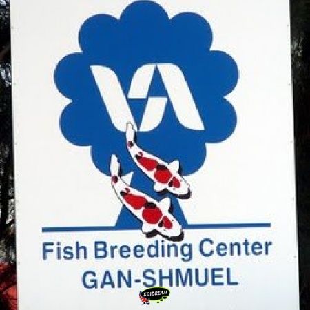 Gan Shmuel Fish-Hatchery