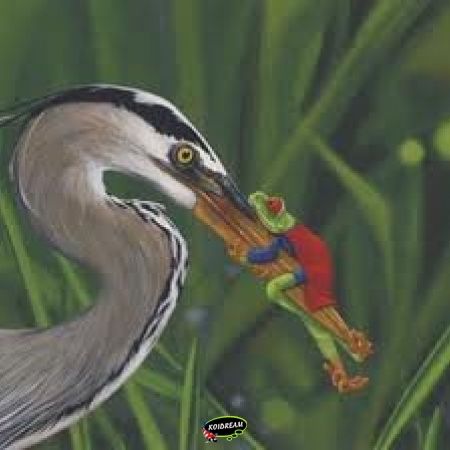 Anti Reiger & Kat