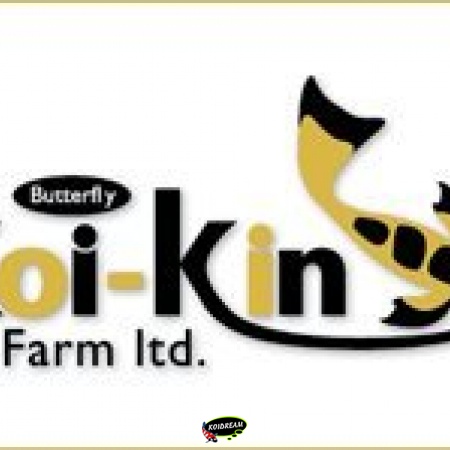 Koi Kin