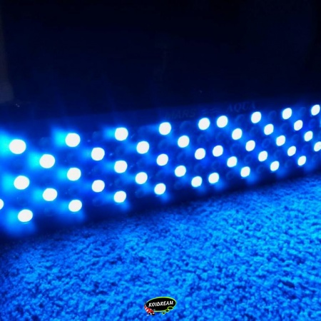 LED Verlichting