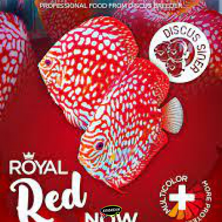 ROYAL MENU RED Van Discus Siner