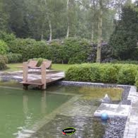 Zwemvijvers