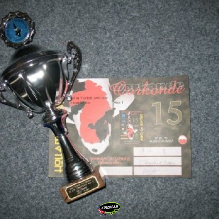 20. HQ Grote Koi + 50 cm & Specials
