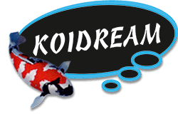 https://www.koidream.com/