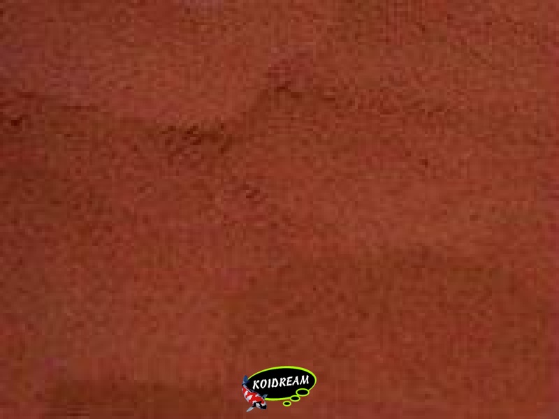 FT - Artemia-Rep 250 ml / 240 gr