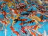 Koi Israel A 40 / 45 cm A - Dagnoy
