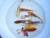 Koi Metalic 25 - 30 cm Madankoi