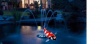 Water Starlet