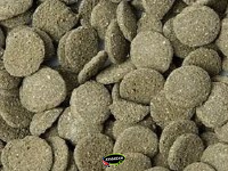Algen Wafels
