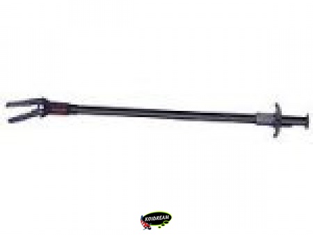 HSplantentang small 50 cm