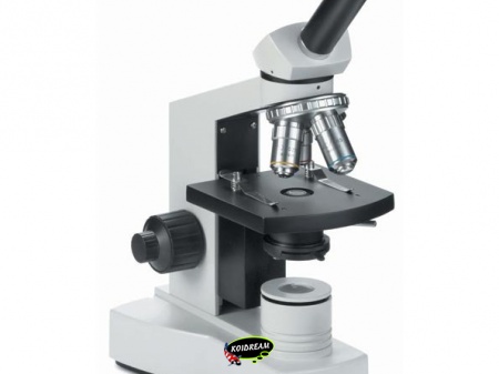 Monoculaire microscoop XE.5626-KO