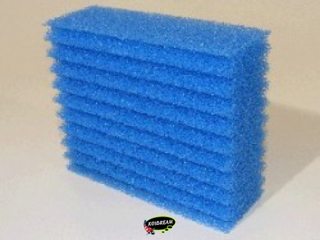 Vervangspons blauw BioSmart 18000-36000 