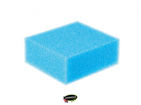 Vervangspons blauw BioSmart 5000 - 16000